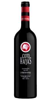 Vino Tinto Coto de Hayas Joven Magnum