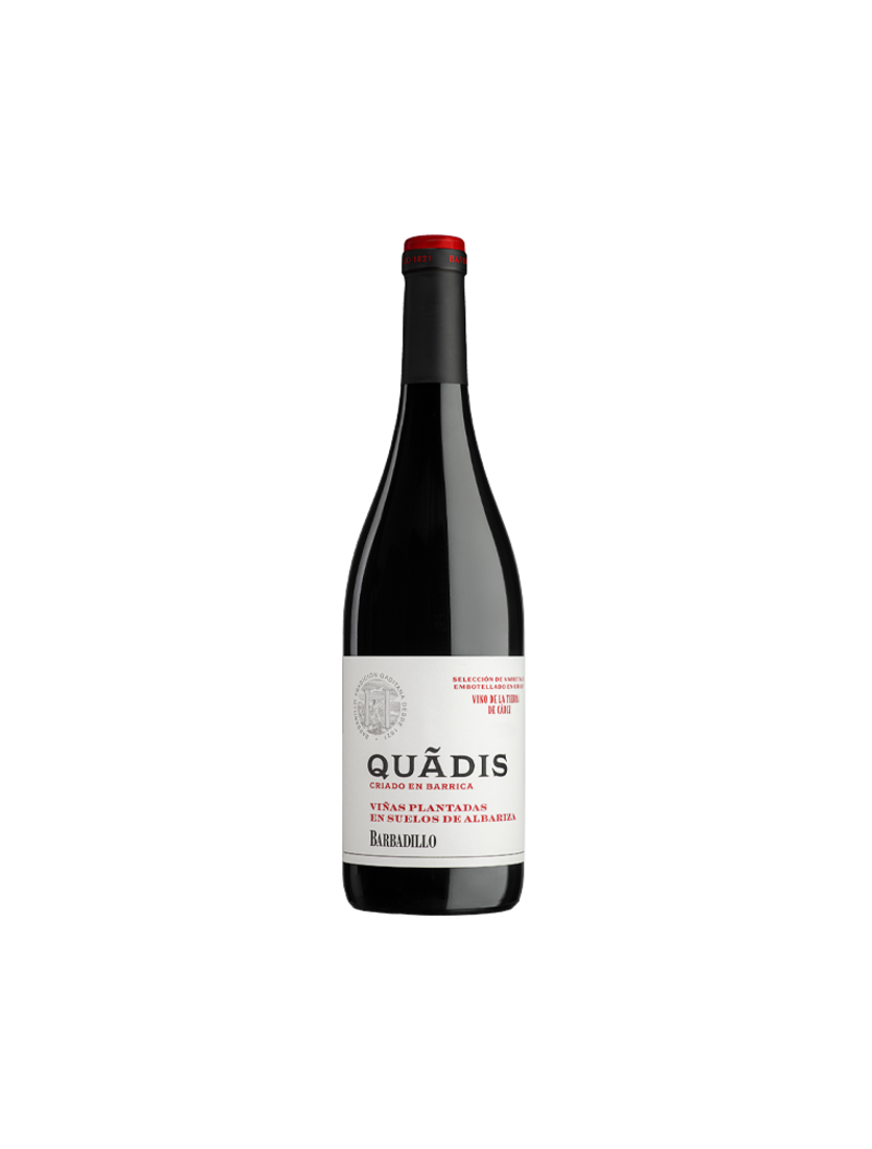 quadis-criado-en-barrica-vinosdelarivera quadis-criado-en-barrica-vinosdelarivera