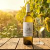 Vino Ecológico vinosdelarivera