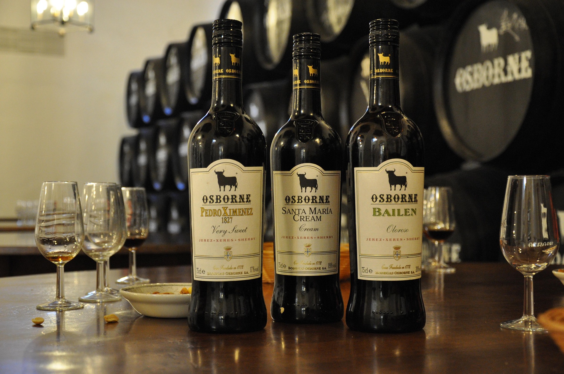 Copa de vino generoso Oloroso en una bodega tradicional de Jerez con barricas al fondo.