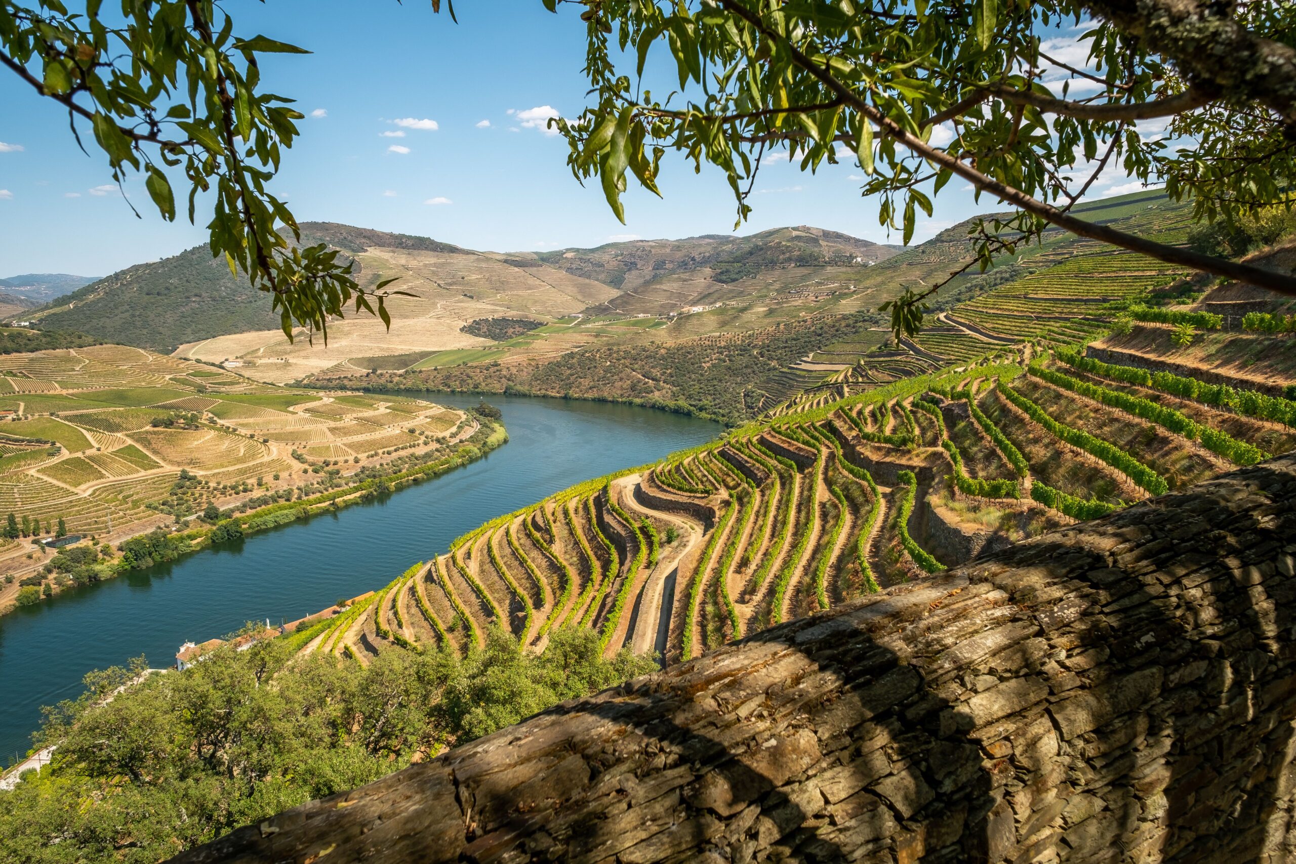 Viñedos cultivados en terrazas sobre laderas muy inclinadas, un ejemplo de viticultura heroica.
