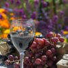 Copa de vino tinto de maceración carbónica junto a racimos de uvas frescas sobre madera.
