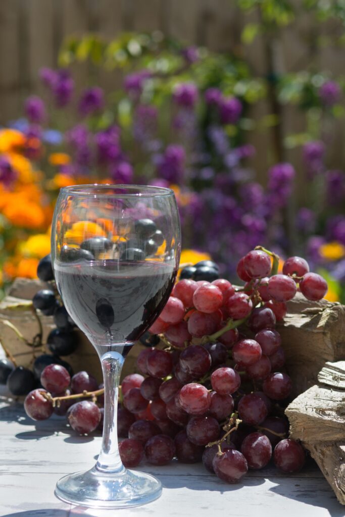 Copa de vino tinto de maceración carbónica junto a racimos de uvas frescas sobre madera.