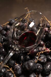 Copa de vino tinto descansando sobre racimos de uvas negras frescas.